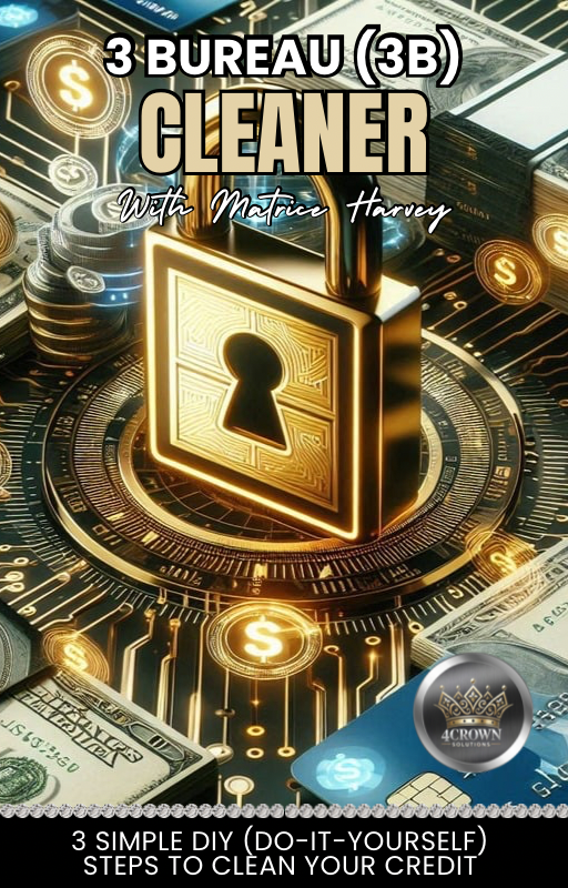 3 Bureau (3B) Cleaner: 3 Simple DIY (Do-It-Yourself) Steps to Clean Your Credit eBook